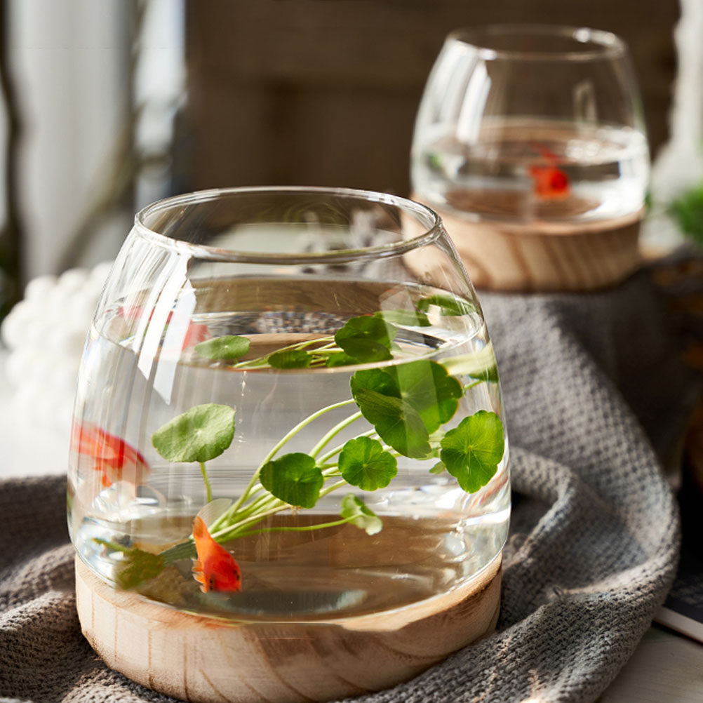 1Set Wooden Base Glass Hydropo - Aquarium Plant Original recensie en prijs