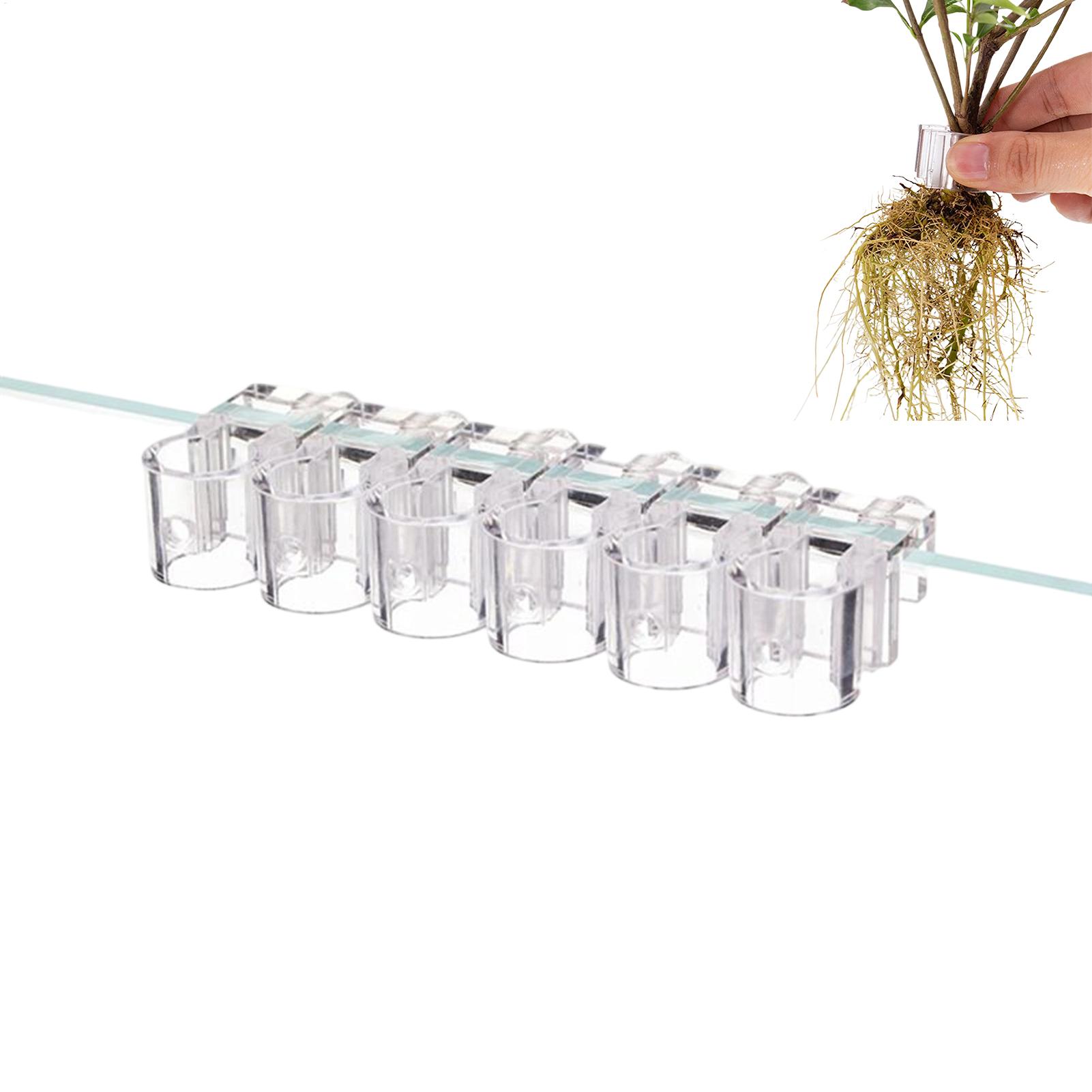 Plant Holder For Aquarium 6 Pi - Aquarium Plant Diseases recensie en prijs