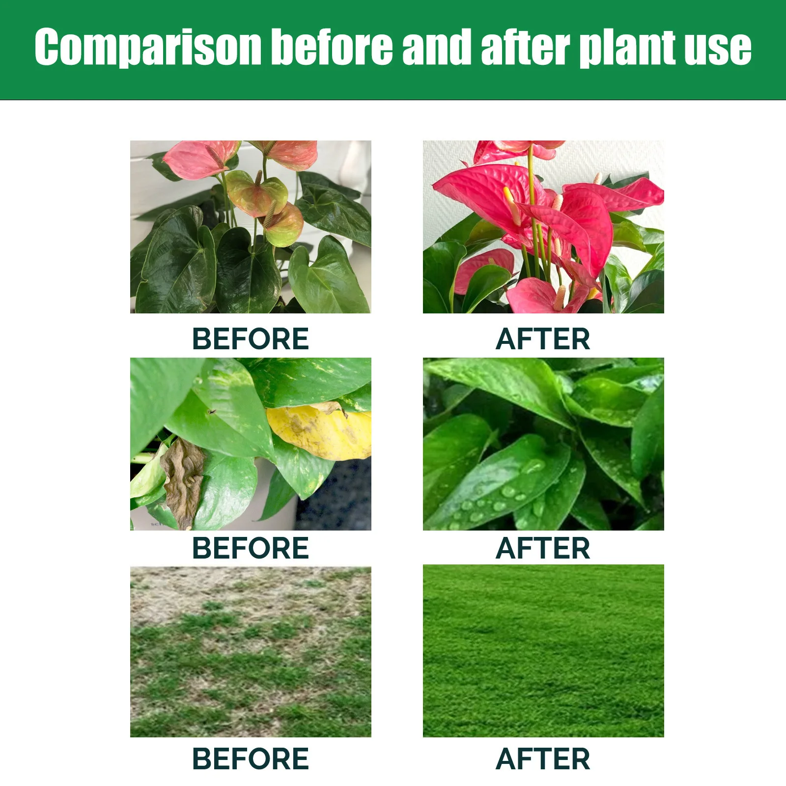 Indoor Potted Plant Fertilizer - Liquid Fertilizer All In recensie en prijs