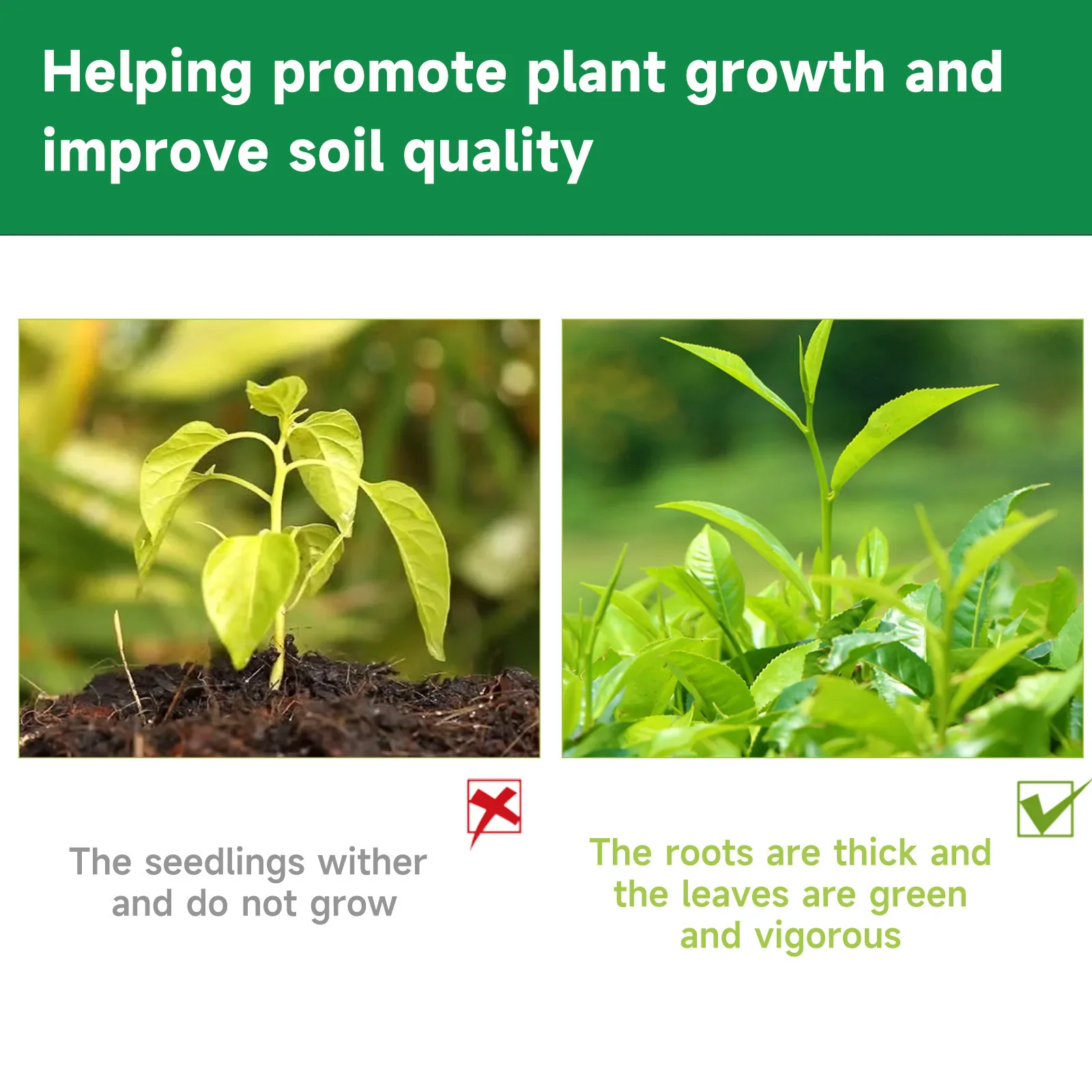 Indoor Potted Plant Fertilizer - Liquid Fertilizer All In recensie en prijs